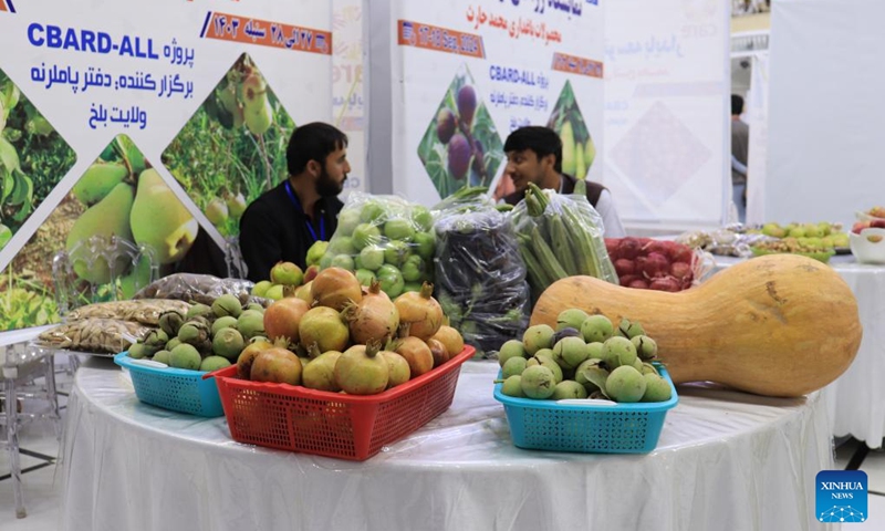 This photo taken on Sept. 17, 2024 shows agricultural products on display at an agricultural fair in Mazar-i-Sharif city, Balkh province, Afghanistan. A two-day fair to put on display local agricultural products opened in Mazar-i-Sharif city, the provincial capital of northern Afghanistan's Balkh province on Tuesday, Mohammad Farooq, an official with the provincial agricultural directorate, said Wednesday. (Photo: Xinhua)