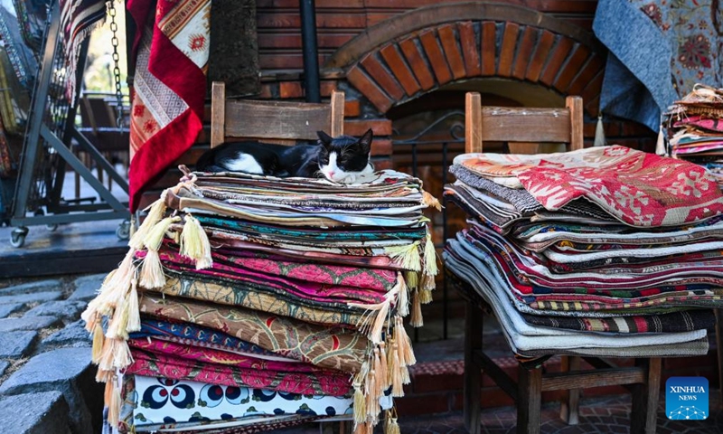 A stray cat rests outside a shop in Istanbul, Türkiye, June 30, 2024. Istanbul is known for its cat-loving tradition.  (Photo: Xinhua)