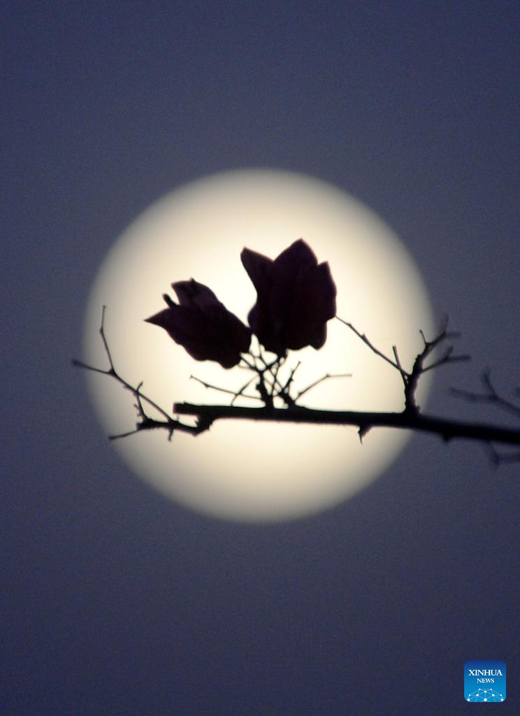 A full moon is pictured over Gwadar, southwest Pakistan, Sept. 17, 2024.  (Photo: Xinhua)