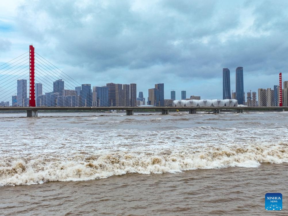 This aerial drone photo taken on Sept. 19, 2024 shows waves caused by the Qiantang River tidal bore in Hangzhou, east China's Zhejiang Province. (Photo: Xinhua)