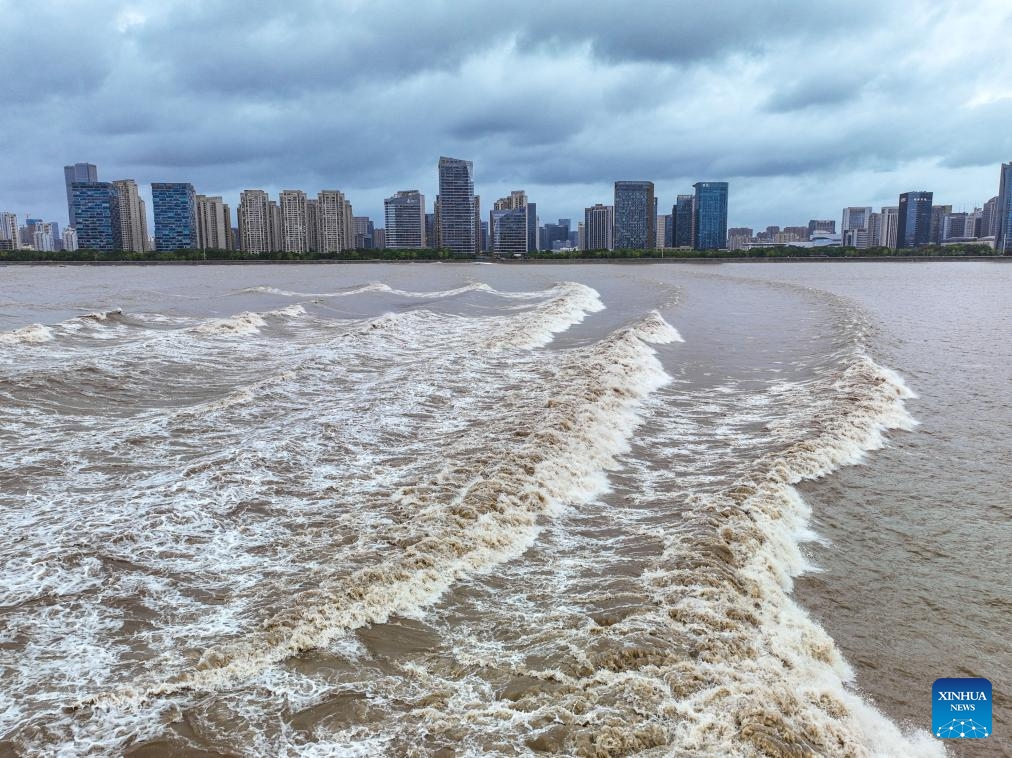 This aerial drone photo taken on Sept. 19, 2024 shows waves caused by the Qiantang River tidal bore in Hangzhou, east China's Zhejiang Province. (Photo: Xinhua)