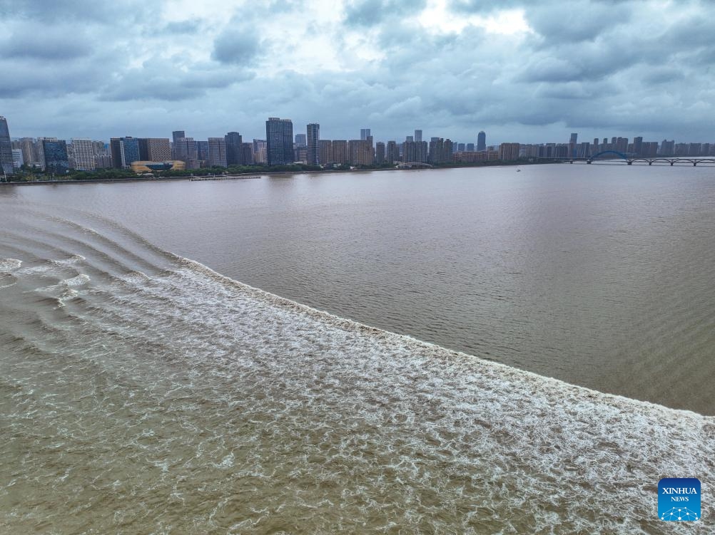 This aerial drone photo taken on Sept. 19, 2024 shows waves caused by the Qiantang River tidal bore in Hangzhou, east China's Zhejiang Province. (Photo: Xinhua)