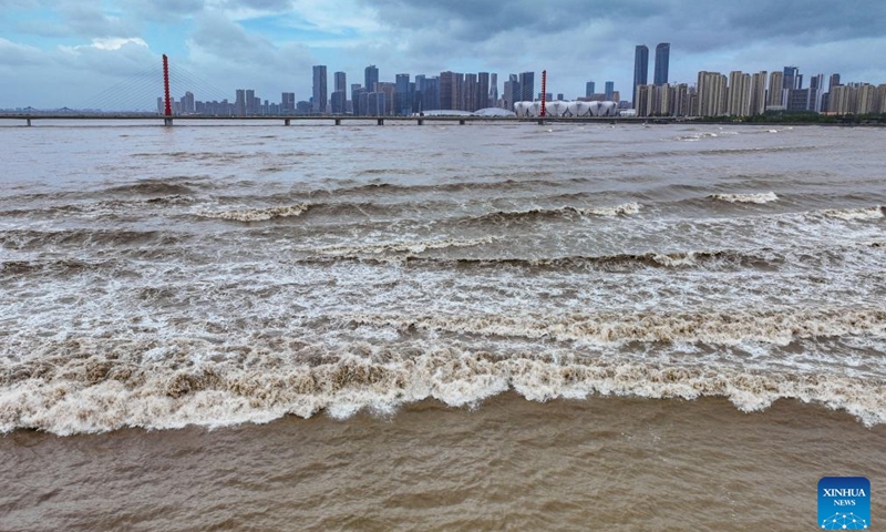 This aerial drone photo taken on Sept. 19, 2024 shows waves caused by the Qiantang River tidal bore in Hangzhou, east China's Zhejiang Province. (Photo: Xinhua)