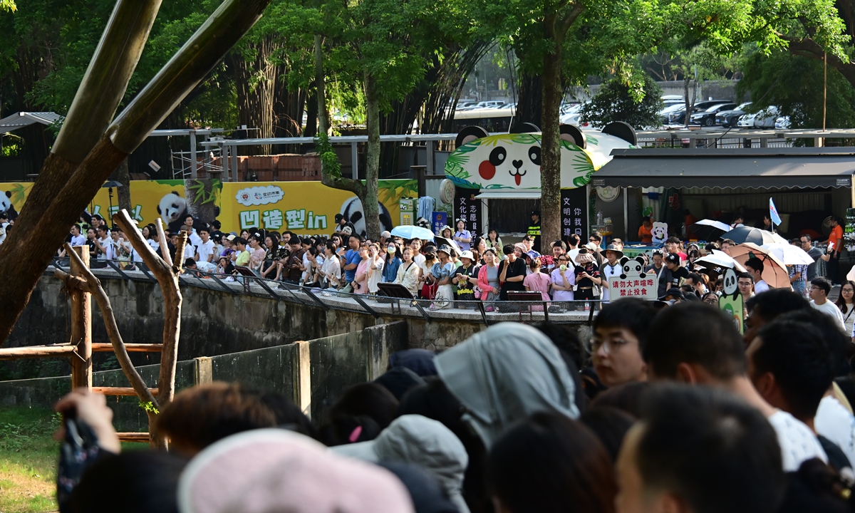 Crowded people at the giant panda pavilion of the Chongqing Zoo on September 17, 2024 Photo: Tao Mingyang/GT