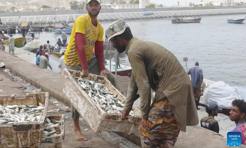 Fishermen carry fish at a fish market in southwest Pakistan's Gwadar on Sept. 19, 2024. (Photo: Xinhua)