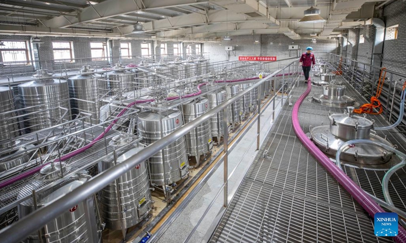 A worker checks the fermenting grapes in a winery at the eastern foot of Helan Mountain in northwest China's Ningxia Hui Autonomous Region, Sept. 19, 2024. With a dry climate and abundant sunshine, the eastern foot of Helan Mountain is widely regarded as a golden zone for wine grape cultivation and high-end wine production. The region has entered this year's harvest season of the wine grape recently. (Photo: Xinhua)