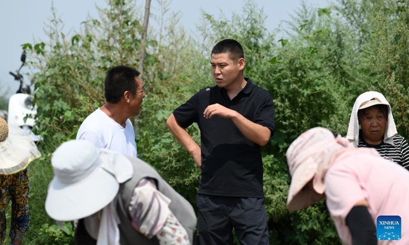 Zhao Yongzhuang (C) chats with villagers to learn about the weeding of cabbage mustard field in Beizhang Township, Wenshui County of north China's Shanxi Province, Aug. 20, 2024. (Photo: Xinhua)