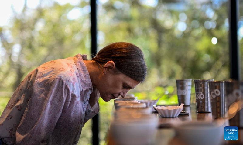 Rechel Peterson, the owner of Hacienda la Esmeralda, conducts a cupping test in the western Panamanian city of Boquete, Aug. 26, 2024. Panama's Geisha coffee, which has spearheaded the country's coffee industry for the last few years, has set records at coffee auctions and is a favorite at international specialty coffee tastings. (Photo: Xinhua)