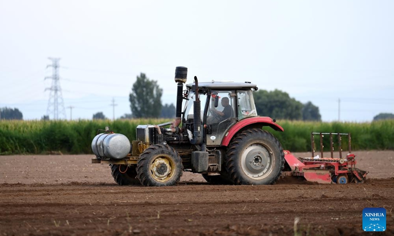 A villager drives a seeding machine to plant cabbage mustard in a field in Beizhang Township, Wenshui County of north China's Shanxi Province, Aug. 19, 2024. (Photo: Xinhua)