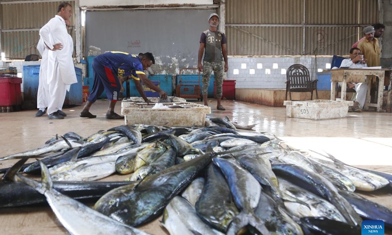 People buy fish in a fish market in southwest Pakistan's Gwadar on Sept. 19, 2024.(Photo: Xinhua)