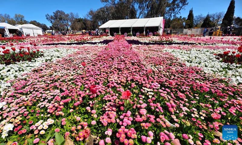 This photo taken on Sept. 20, 2024 shows a view of the Floriade festival in Canberra, Australia. The 37th edition of the annual flower and entertainment festival Floriade launched on Sept. 14 in Canberra's Commonwealth Park. (Photo: Xinhua)