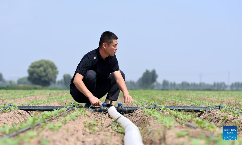 Zhao Yongzhuang prepares to water plants with drip irrigation devices in a cabbage mustard field in Beizhang Township, Wenshui County of north China's Shanxi Province, Aug. 20, 2024. (Photo: Xinhua)