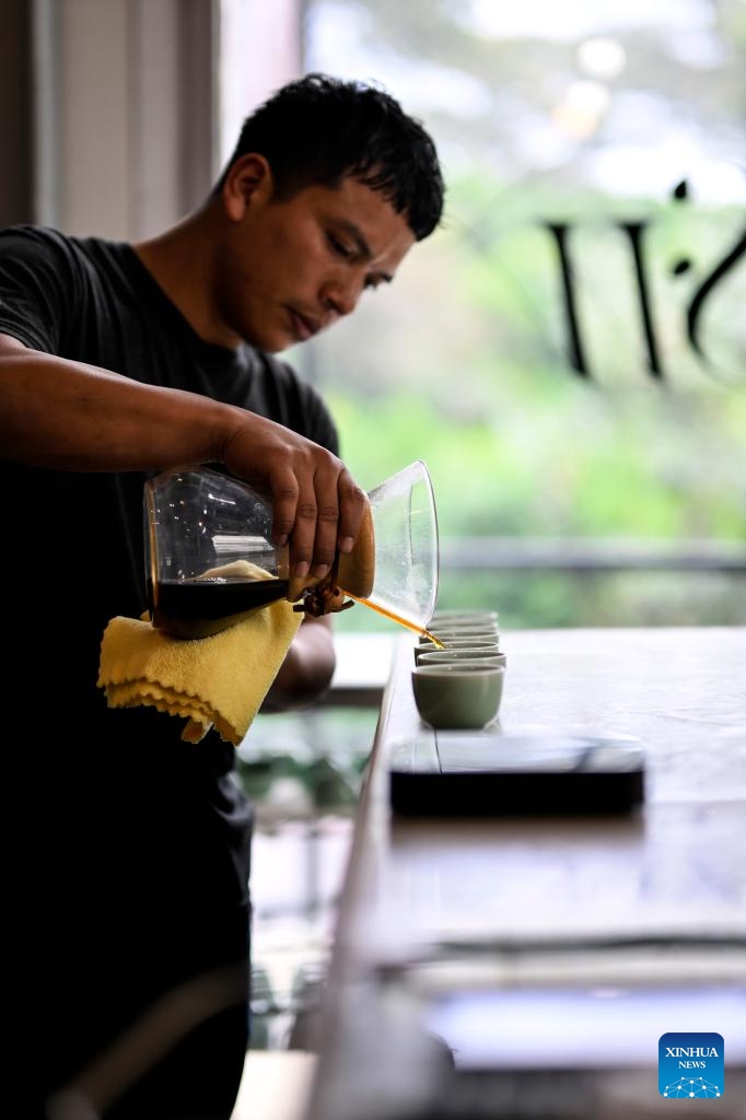 A barista serves Geisha coffee at the Lamastus Estate in the western Panamanian city of Boquete, Aug. 26, 2024. Panama's Geisha coffee, which has spearheaded the country's coffee industry for the last few years, has set records at coffee auctions and is a favorite at international specialty coffee tastings. (Photo: Xinhua)