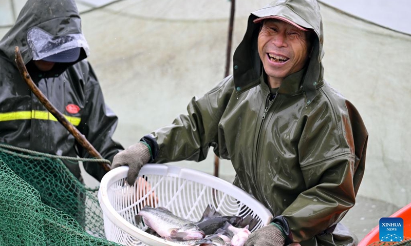 Staff catch fish at an aquaculture base in Helan County, Yinchuan, northwest China's Ningxia Hui Autonomous Region, Sept. 20, 2024. With abundant water resources from the Yellow River, Yinchuan has vigorously developed fisheries in recent years. (Photo: Xinhua)