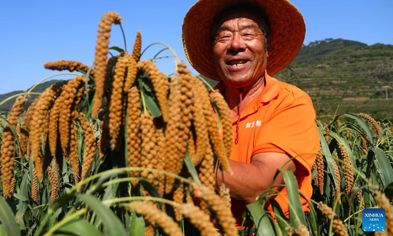 A farmer displays newly-harvested grain in Zaozhuang City, east China's Shandong Province, Sept. 22, 2024. This Sunday marks the seventh Chinese farmers' harvest festival. (Photo: Xinhua)