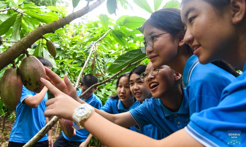 Students view cocoa fruits in Xinglong Tropical Botanical Garden in Wanning City, south China's Hainan Province, Sept. 22, 2024. The science popularization activity focusing on cocoa was held here on Sunday by Spice and Beverage Research Institute under Chinese Academy of Tropical Agricultural Sciences. (Photo: Xinhua)