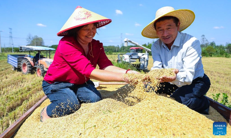 Farmers harvest rice at Zhanglou Village of Xinyang City, central China's Henan Province, Sept. 22, 2024. This Sunday marks the seventh Chinese farmers' harvest festival. (Photo: Xinhua)