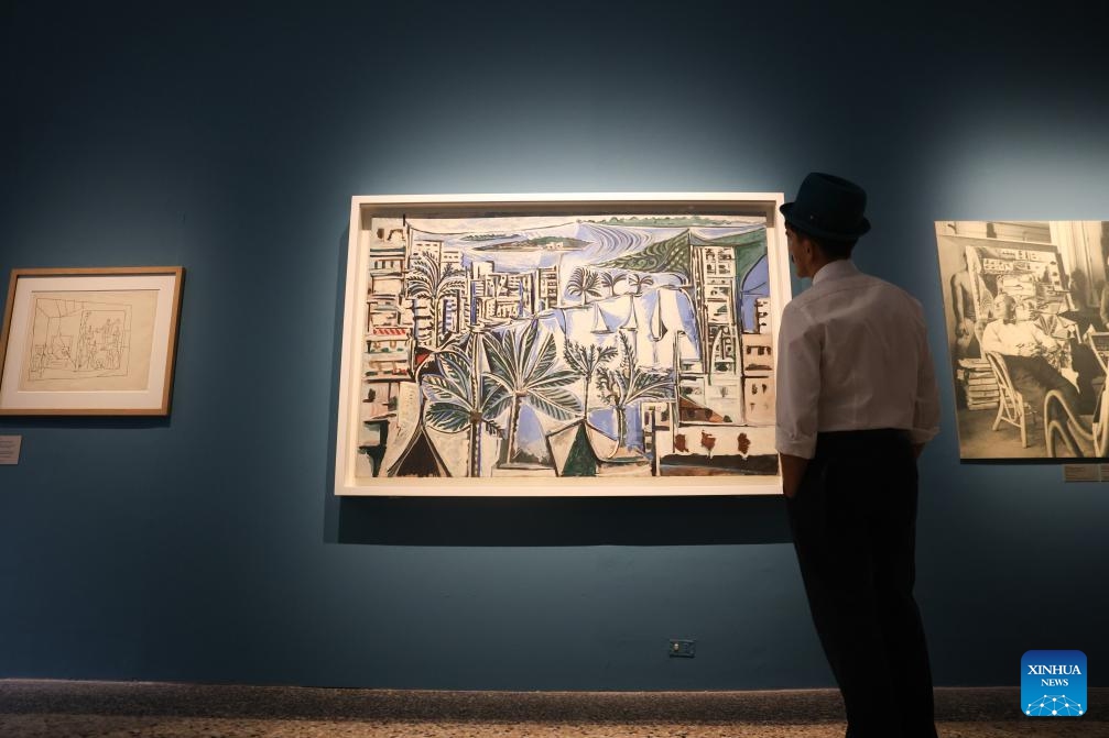 A visitor views works of Pablo Picasso at the exhibition Picasso Lo Straniero in the Royal Palace of Milan in Milan, Italy, Sept. 22, 2024. (Photo: Xinhua)