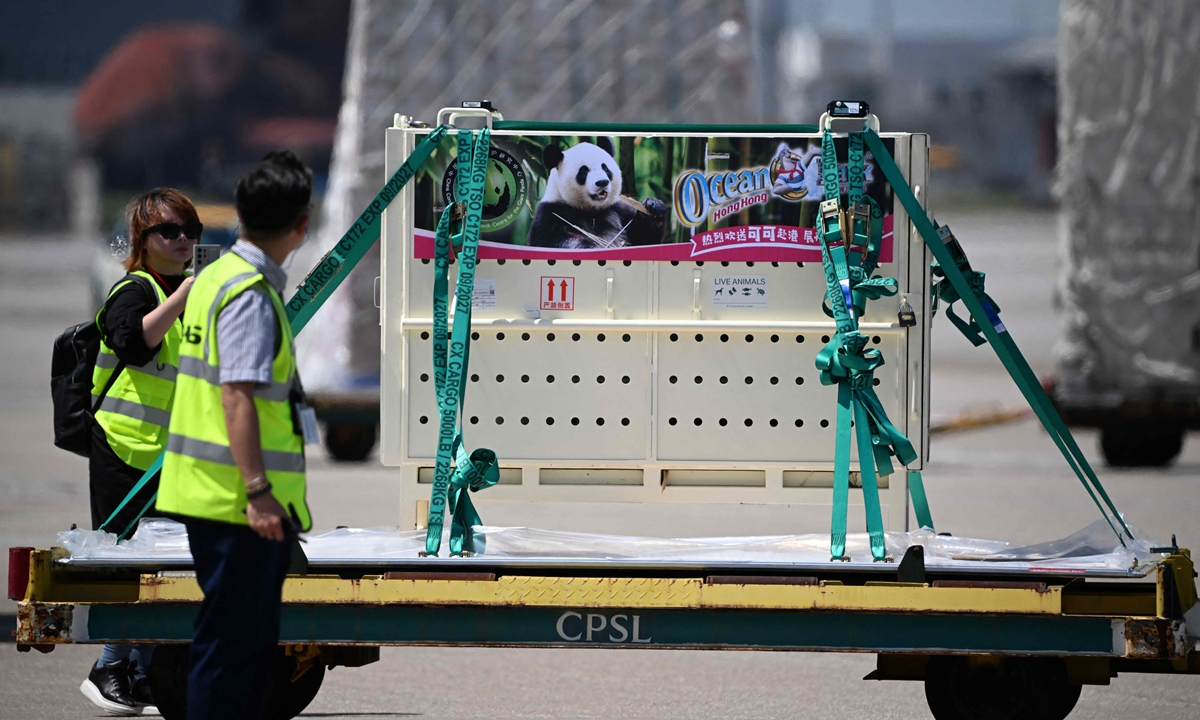 Two people accompany the convoy carrying giant pandas An An, and Ke Ke, at Hong Kong International Airport after the pair reached the city by special flight from Chengdu Shuangliu International Airport on September 26, 2024. Photo: VCG