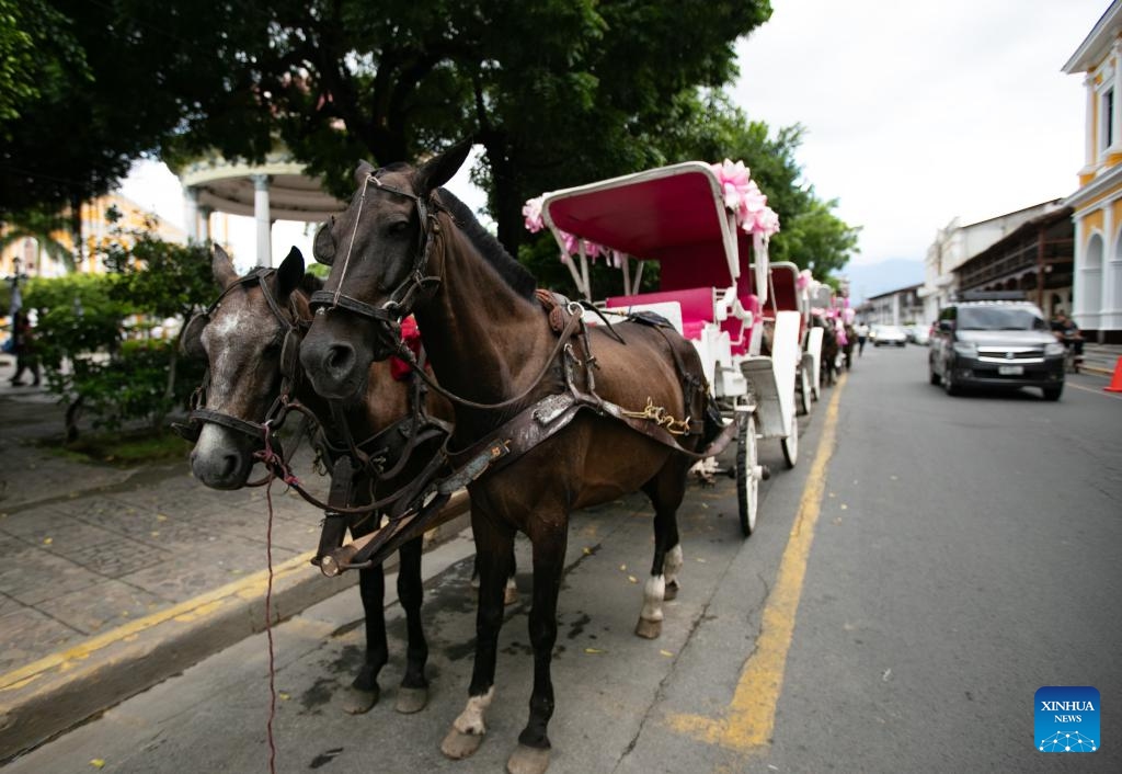 This photo taken on Sept. 22, 2024 shows a carriage on the roadside in Granada, Nicaragua. Granada, located on the shores of the Nicaragua Lake, is the first city established by the Spanish people in Nicaragua and one of the oldest colonial cities in Central America. (Photo: Xinhua)