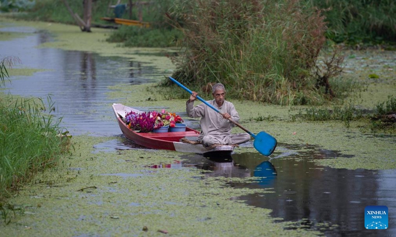 A man rows a boat with fresh flowers at Dal lake in Srinagar, the summer capital of Indian-controlled Kashmir, Sept. 27, 2024. (Photo: Xinhua)