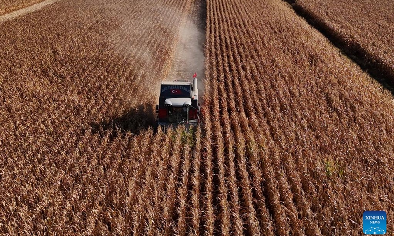 A harvester works in a corn field in Konya, Türkiye, Sept. 27, 2024. (Photo: Xinhua)