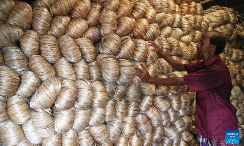 A worker arranges jute in Mymensingh division, Bangladesh, on Sept. 27, 2024. Photo: Xinhua