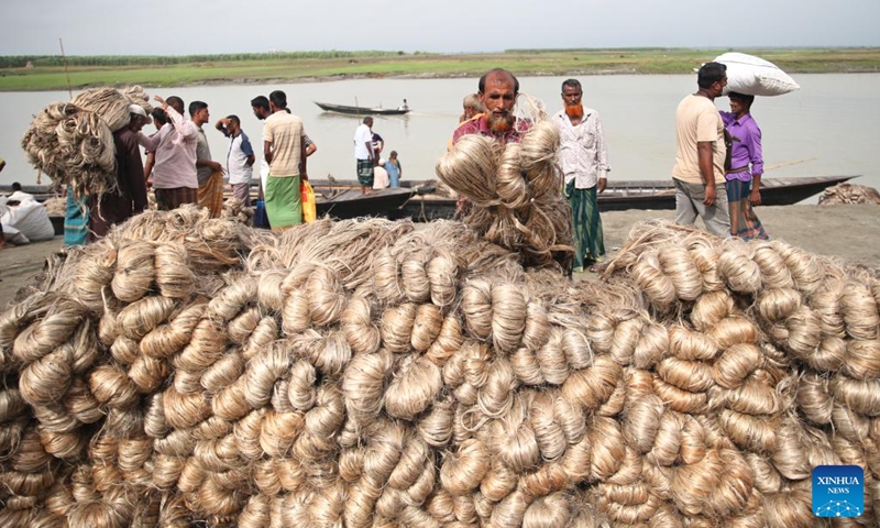 This photo taken on Sept. 27, 2024 shows a view of a local jute trading market in Jamalpur district, Mymensingh division, Bangladesh. Photo: Xinhua