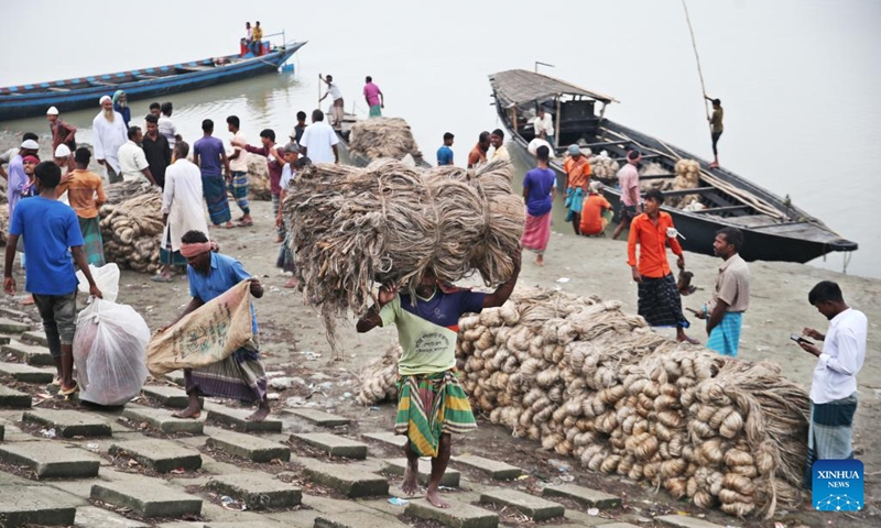 A worker carries jute from a boat in Mymensingh division, Bangladesh, on Sept. 27, 2024. Photo: Xinhua