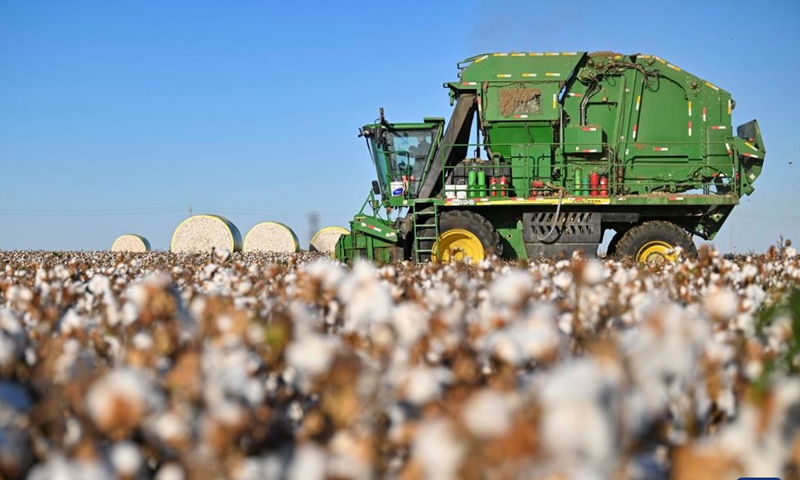 A cotton picker works in a cotton field in Wujiaqu City, northwest China's Xinjiang Uygur Autonomous Region, Sept. 29, 2024. The vast cotton fields of Xinjiang have entered the harvest season this year. (Photo: Xinhua)