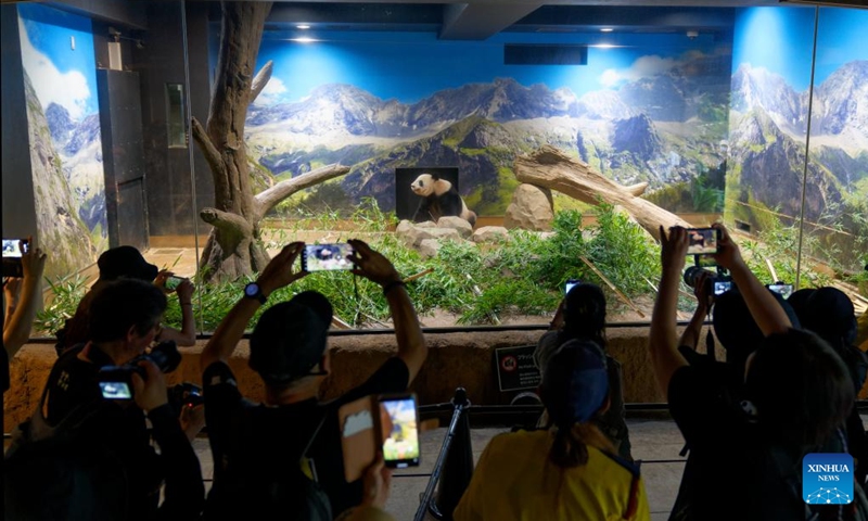 Visitors take photos of giant panda Shin Shin at Ueno Zoo in Tokyo, Japan, Sept. 28, 2024. Beloved giant pandas Ri Ri and Shin Shin left Tokyo's Ueno Zoo in the early hours of Sunday to fly back to their home country China due to age-related health concerns. On Saturday, the final public viewing day for the panda pair, more than 2,000 fans lined up before opening to say their goodbyes, with many in tears. Giant panda Ri Ri, a male, and female giant panda Shin Shin, both from southwest China's Sichuan Province, arrived at Ueno Zoo in February 2011 under a leasing agreement. Photo: Xinhua