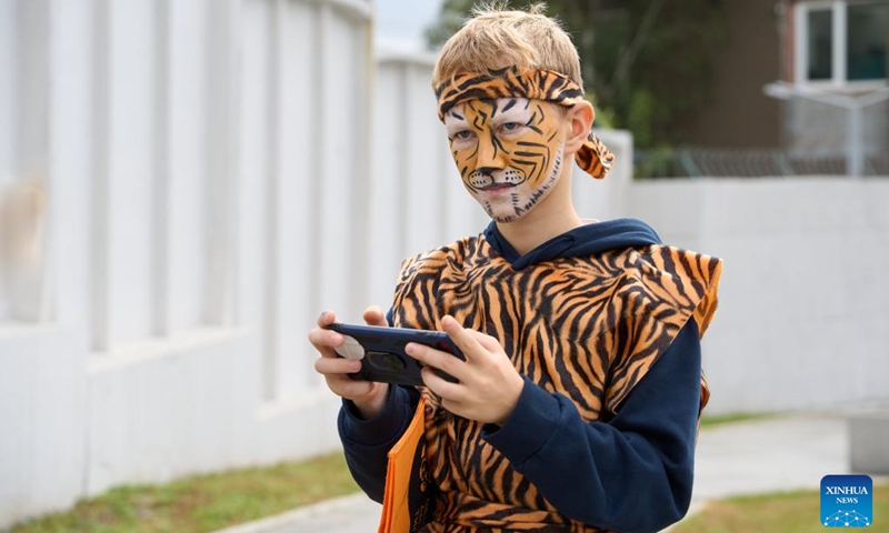 A teenager dresses up for the Tiger Day event in Vladivostok, Russia, Sept. 29, 2024. Since the year 2000, the last Sunday of September has been the Tiger Day in Russia. On Sunday, the city of Vladivostok hosted a variety of colorful events to promote awareness of protecting tigers and other wild animals. Photo: Xinhua