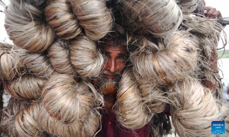 A worker carries jute in Mymensingh division, Bangladesh, on Sept. 27, 2024. Photo: Xinhua