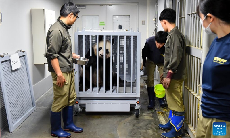 Giant panda Shin Shin is loaded into a special container at Ueno Zoo in Tokyo, Japan, Sept. 29, 2024. Beloved giant pandas Ri Ri and Shin Shin left Tokyo's Ueno Zoo in the early hours of Sunday to fly back to their home country China due to age-related health concerns. On Saturday, the final public viewing day for the panda pair, more than 2,000 fans lined up before opening to say their goodbyes, with many in tears. Giant panda Ri Ri, a male, and female giant panda Shin Shin, both from southwest China's Sichuan Province, arrived at Ueno Zoo in February 2011 under a leasing agreement. Photo: Xinhua