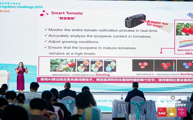 A member (in purple dress) of the Chinese team explains the concept of the Smart Tomato project. Photo: Fu Fan 