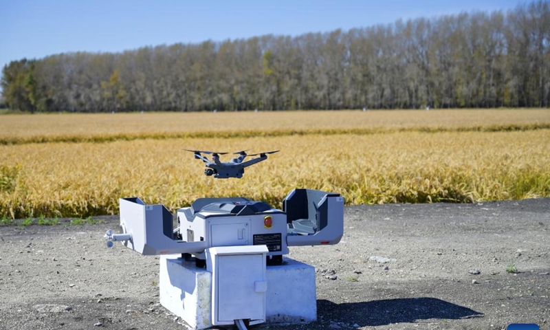 A drone returns automatically after an intelligent field patrol mission at an agricultural experiment station in Shuangyashan City,<strong></strong> northeast China's Heilongjiang Province, Sept. 28, 2024.(Xinhua/Shi Feng)