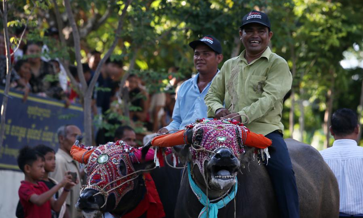 Contestants are pictured on their buffaloes during an annual buffalo race at Vihear Sour Pagoda in Kandal province, Cambodia, Oct. 2, 2024. (Photo by Phearum/Xinhua)
