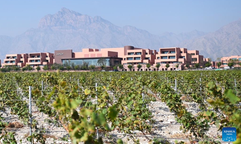 This photo shows a hotel in the Dulaan Holiday Wine Stroll in Helan County, northwest China's Ningxia Hui Autonomous Region, Oct. 4, 2024.