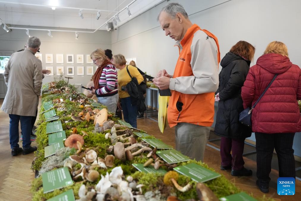 People visit a mushroom exhibition at Latvian Museum of Natural History in Riga, Latvia, on Oct. 4, 2024. The exhibition is held here from Oct. 4 to Oct. 6. (Photo by Edijs Palens/Xinhua)