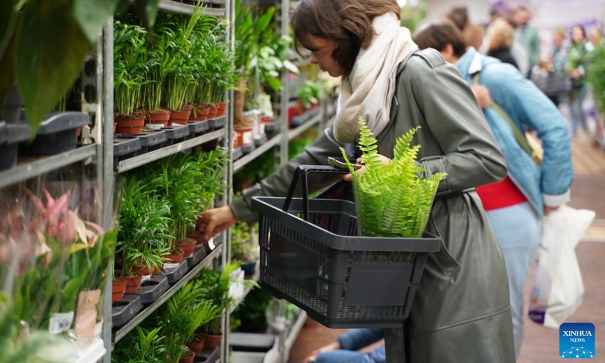 A visitor selects plants at the 6th Plant Festival in Lodz, Poland, Oct. 5, 2024. The two-day event kicked off here on Saturday, featuring direct sales from growers, showcasing household plants, gardening accessories, and eco-friendly products. (Photo: Xinhua)