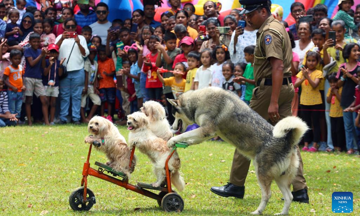 Dogs of Sri Lankan police department's canine force perform at a park in Colombo, Sri Lanka, on Oct. 6, 2024. (Photo: Xinhua)