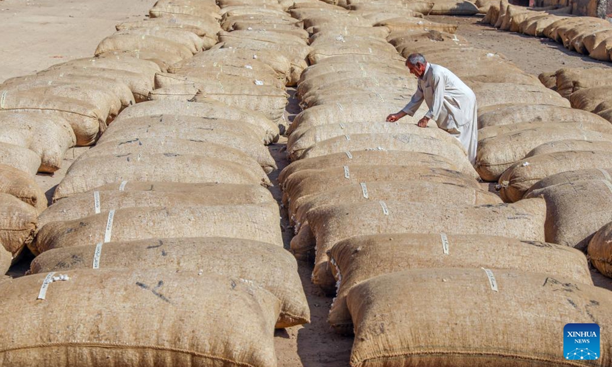 A man works at a warehouse collecting and storing cottons in Menoufia Governorate, Egypt, Sept. 30, 2024.  (Photo: Xinhua)