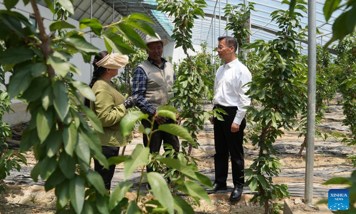 Li Dong (R) talks with local farmers in a greenhouse in Bainang County of southwest China's Xizang Autonomous Region, June 21, 2024. (Photo: Xinhua)