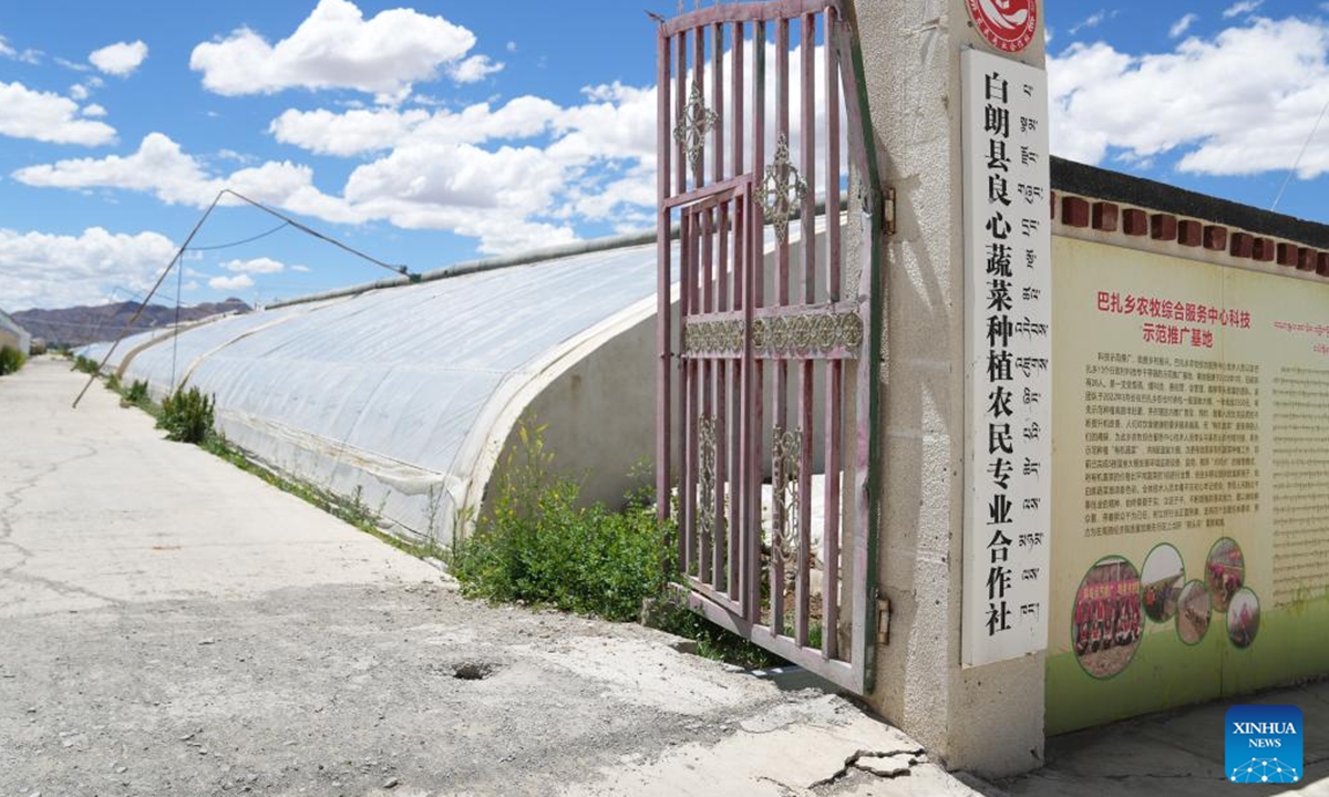 This photo taken on June 21, 2024 shows a vegetable and fruit planting cooperative in Bainang County of southwest China's Xizang Autonomous Region. (Photo: Xinhua)