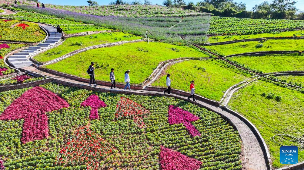 In this aerial drone photo, tourists visit a scenic area in Qianxi County, north China's Hebei Province, Oct. 2, 2024. China recorded 765 million domestic tourist trips during the 7-day National Day holiday that ended Monday, representing a year-on-year increase of 5.9 percent on a comparable basis, according to data from the Ministry of Culture and Tourism. (Photo: Xinhua)