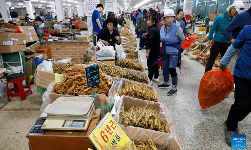 This photo taken on Oct. 8, 2024 shows a view of ginseng roots at a market during the 2024 Geumsan World K-Insamm Festival in Geumsan-gun, Chungcheongnam-do Province, South Korea. The festival is running from October 3 to 13. (Photo: Xinhua)