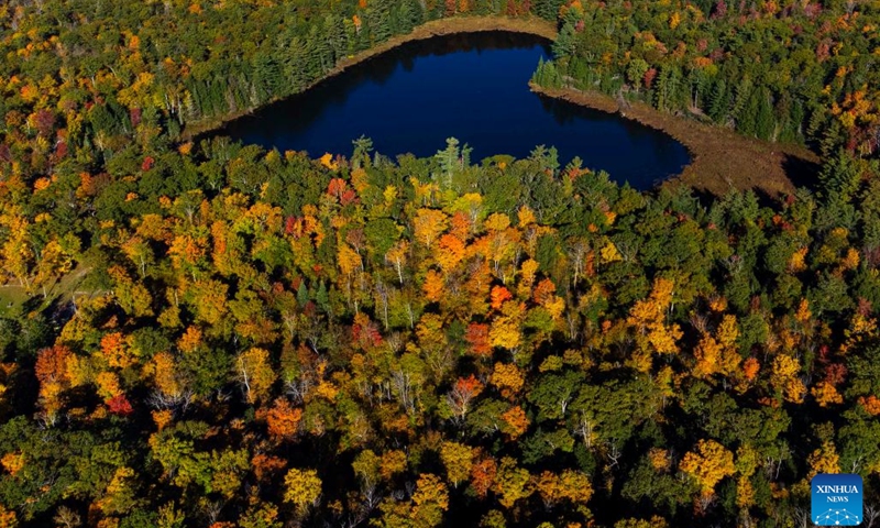 An aerial drone photo taken on Oct. 8, 2024 shows the autumn scenery near Highway 60 in Ontario, Canada. (Photo: Xinhua)