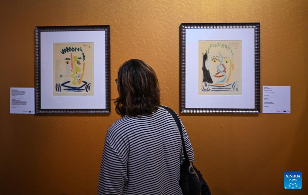 A visitor views an exhibition of Pablo Picasso's works at the Ataturk Cultural Center in Istanbul, Türkiye, Oct. 9, 2024. An exhibition showcasing over 100 artworks by Pablo Picasso was held here by the Turkish Culture and Tourism Ministry. (Photo: Xinhua)