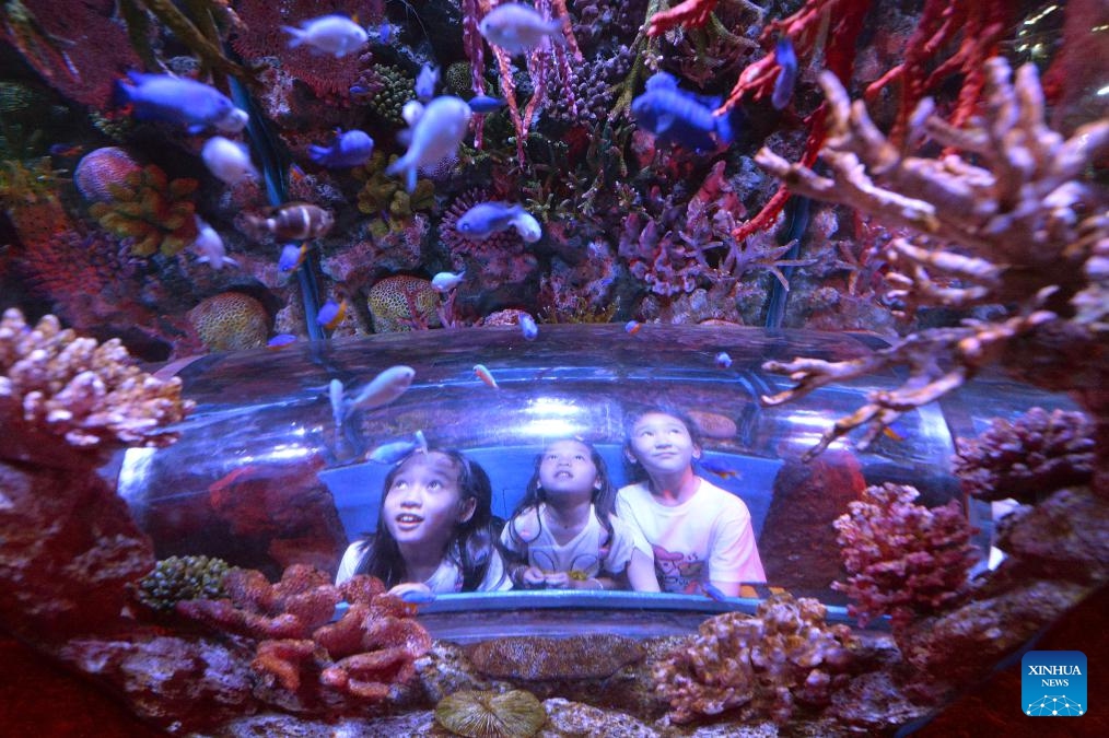 Kids enjoy in Bangkok Sea Life Ocean World aquarium in Bangkok, Thailand, Oct. 9, 2024. (Photo: Xinhua)