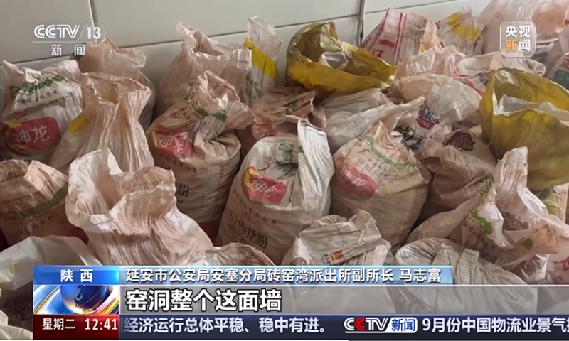 A total of 78 bags of fossils stolen by a gang have been seized by police in Northwest China's Shaanxi Province. Photo: CCTV